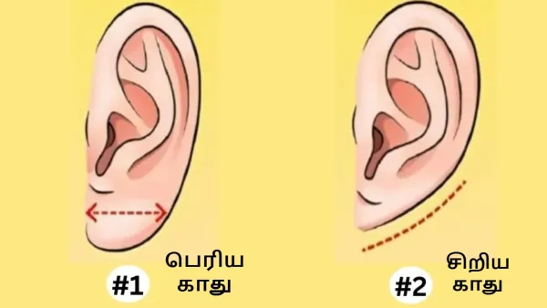 Newsthamizha